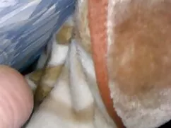 Mujer bonita gime ap ...