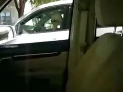 Atado gay xvideos de ...