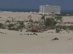 Masaje señoras mexic ...